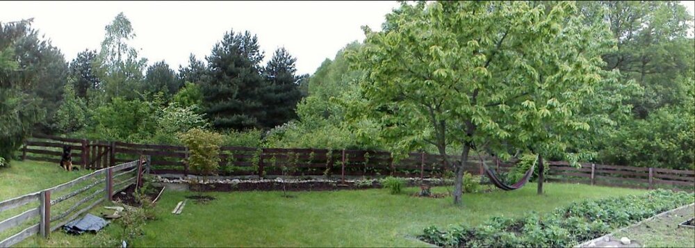 04-11.05 (11) (Kopiowanie).jpg