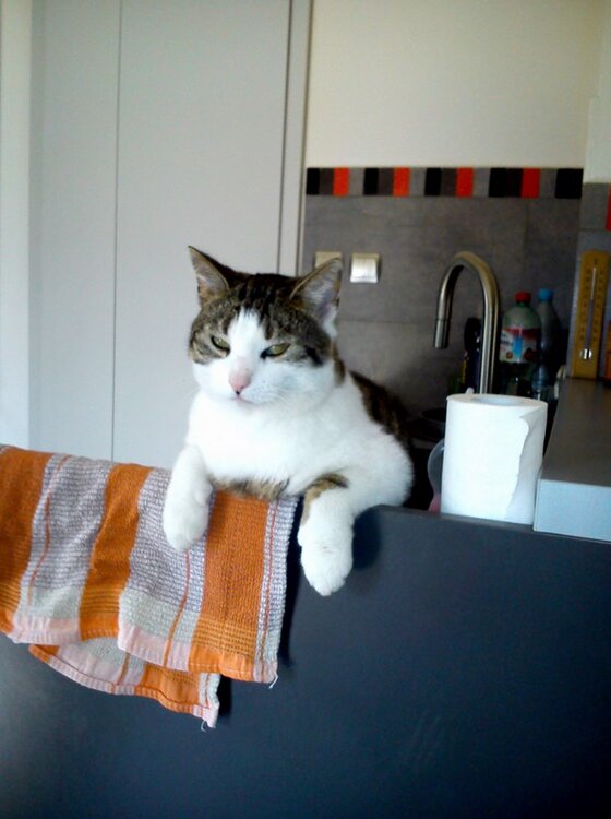 05-06 (29) (Kopiowanie).jpg