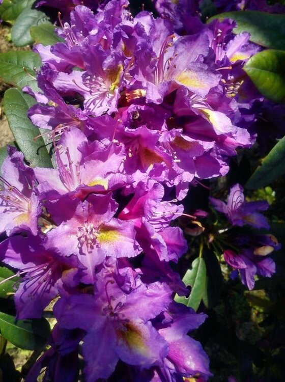 06.06 (27) (Kopiowanie).jpg