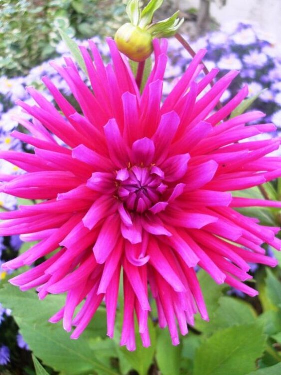 07-10.10 (22) [800x600].jpg