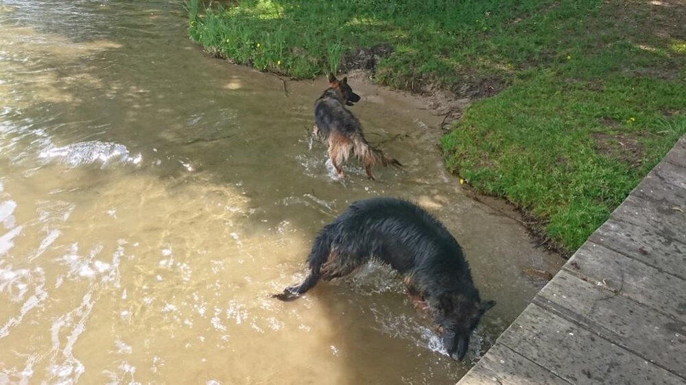 10-12.05 (45) (Kopiowanie).jpg