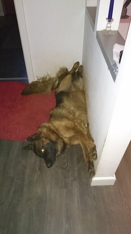 12-13.12 (33) (Kopiowanie).jpg