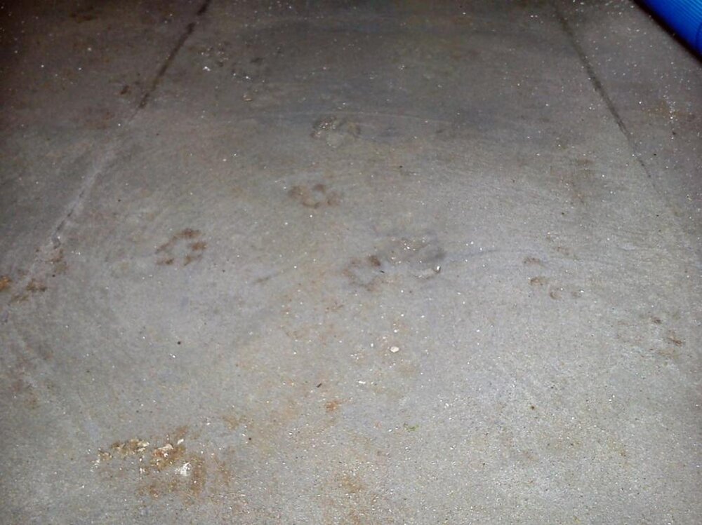 18.05 (6) (Kopiowanie).jpg