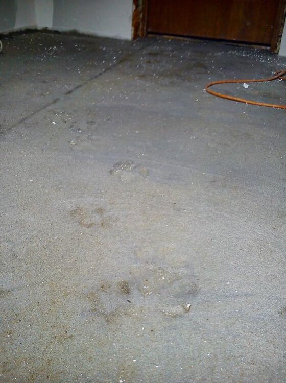 18.05 (7) (Kopiowanie).jpg