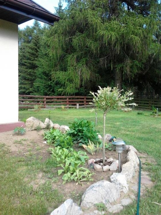 2012-06-19 17.25.10.jpg