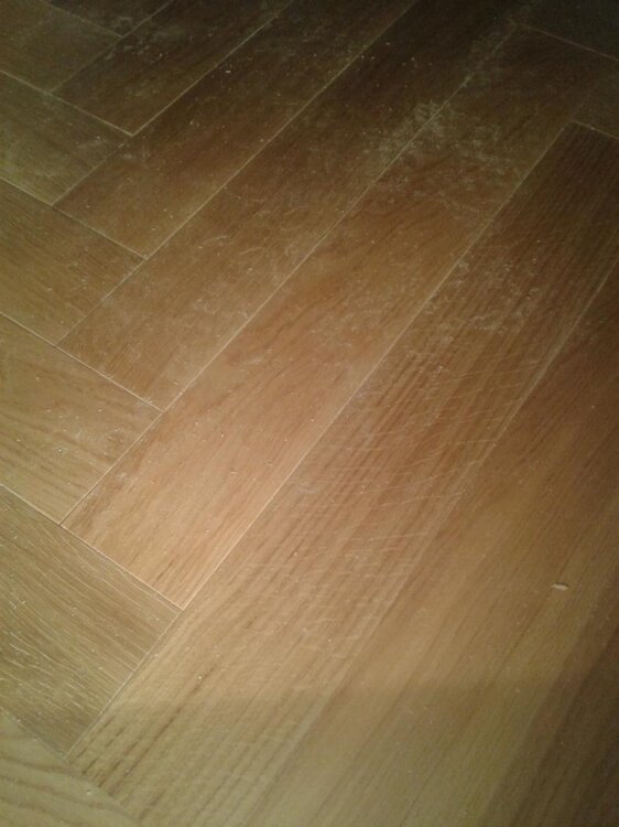 2013-02-20 19.55.12.jpg