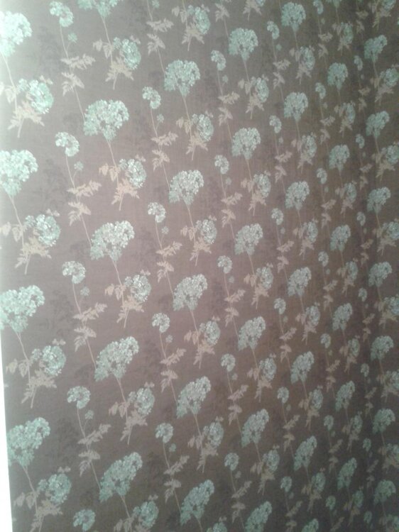 2013-03-09 14.40.06.jpg