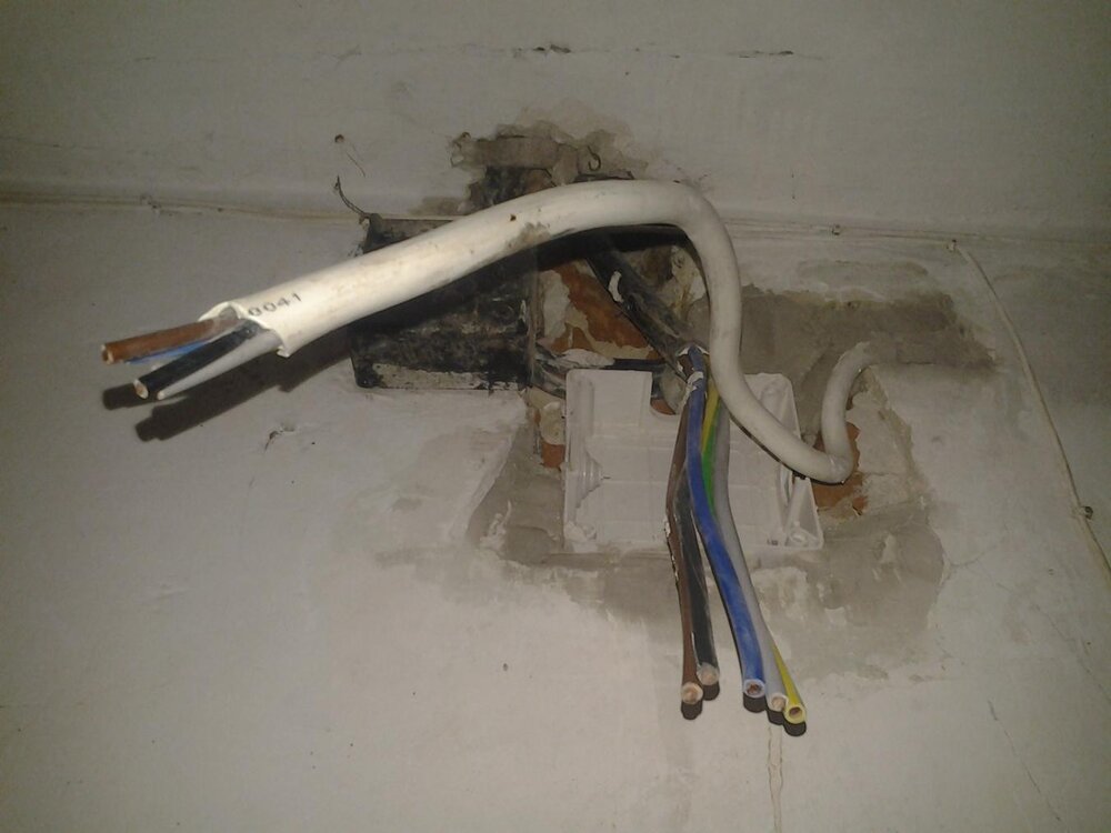 2013-10-13 10.55.24.jpg