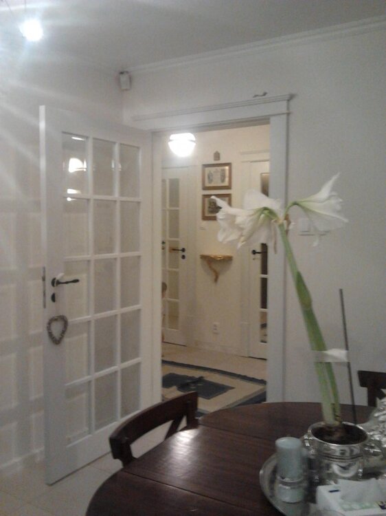 2014-12-23 20.28.14.jpg