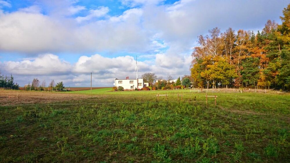 20141107_121506.jpg