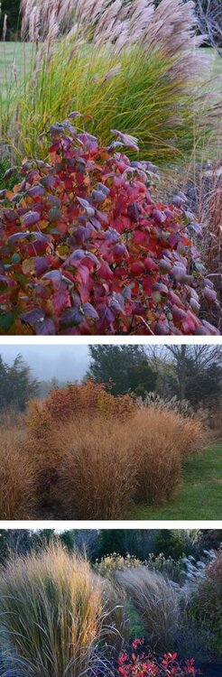 2014_19_11-John-Markowski's-New-Jersey-garden-fall.jpg