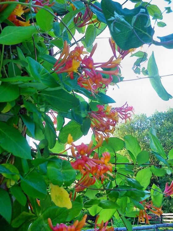 30.05 (12) (Kopiowanie).jpg