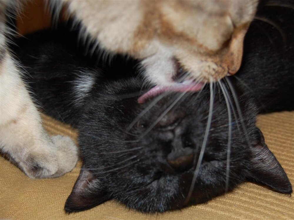 CSC_0118 (Large).jpg