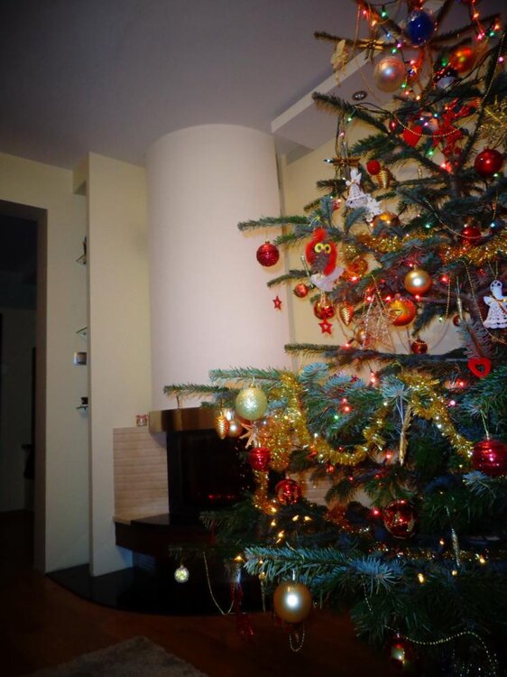 DSC01216_zmien rozmiary.jpg