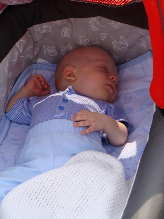 DSC03900.thumb.jpg.b973d20caa45af2c87ba6126b4fcb30b.jpg