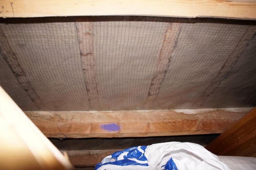 DSC08958 (Medium).jpg