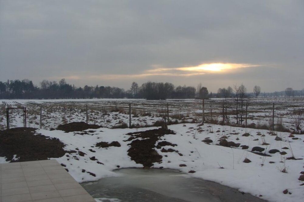 DSC09254.thumb.jpg.a1abdf7b42236f0dce3e7669dcb02f46.jpg