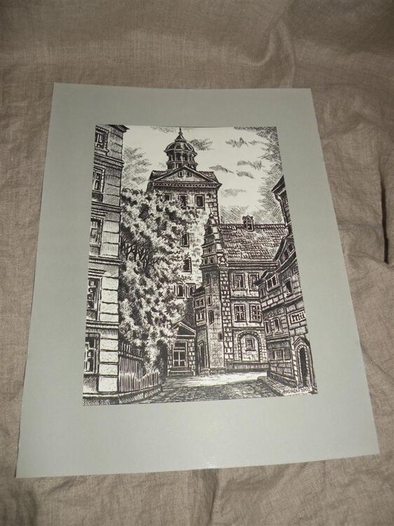 DSCN6827 (Large).jpg