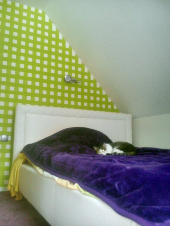 DSC_0014 (Kopiowanie).jpg