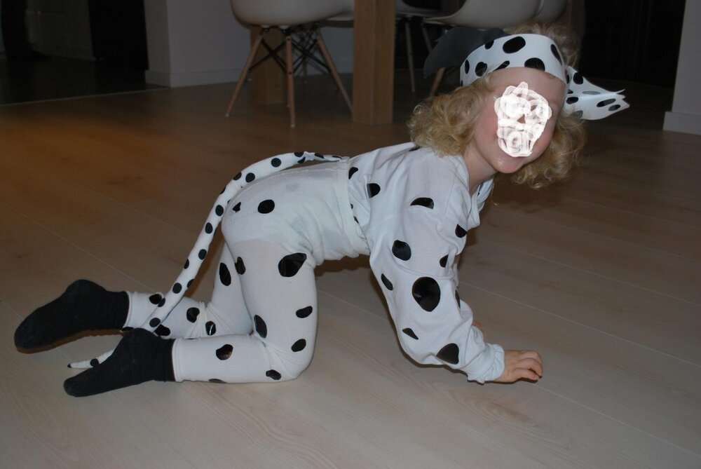 DSC_0084 - Kopia.jpg