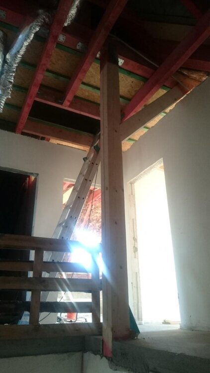 DSC_3082 (Medium).jpg