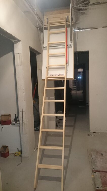 DSC_3777 (Medium).jpg