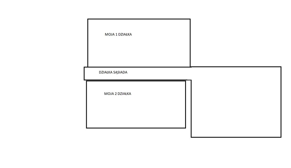 DZIAŁKI.jpg