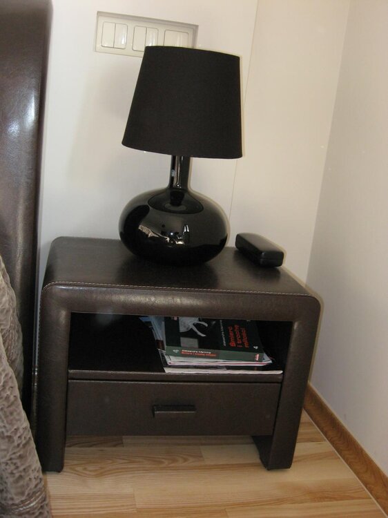 Dome 12.02.2011 001 (2).jpg