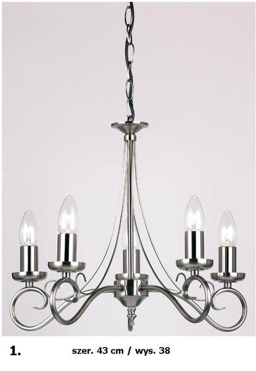 Endon Lighting 5 Light 180-5AS Ceiling Light in Antique Silver_86 GBP_wym.JPG