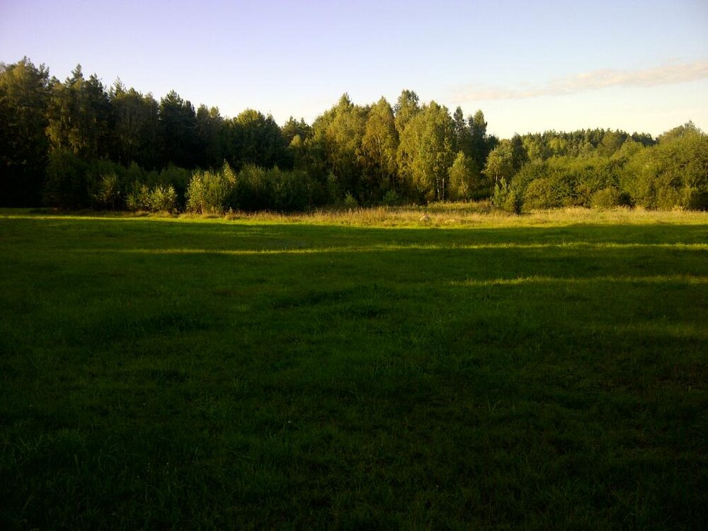 IMG-20160917-00569.thumb.jpg.7aa2ffee50613a8bcd5ee8ba9b76ecb7.jpg