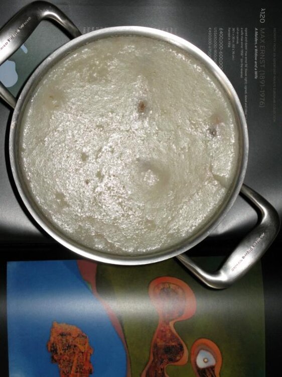 IMG_0016 (2) (600x800).jpg