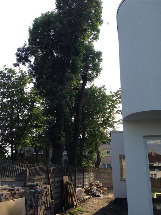 IMG_1447 (Large).jpg