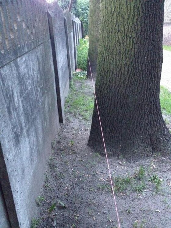 IMG_1454 (Large).jpg