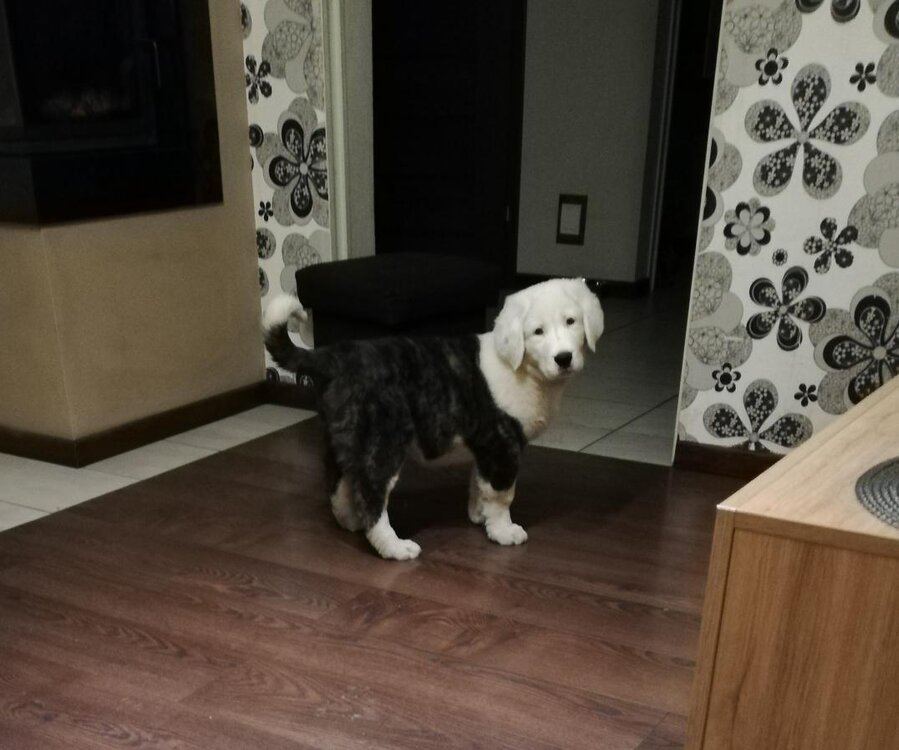 IMG_20190123_172141 (2).jpg