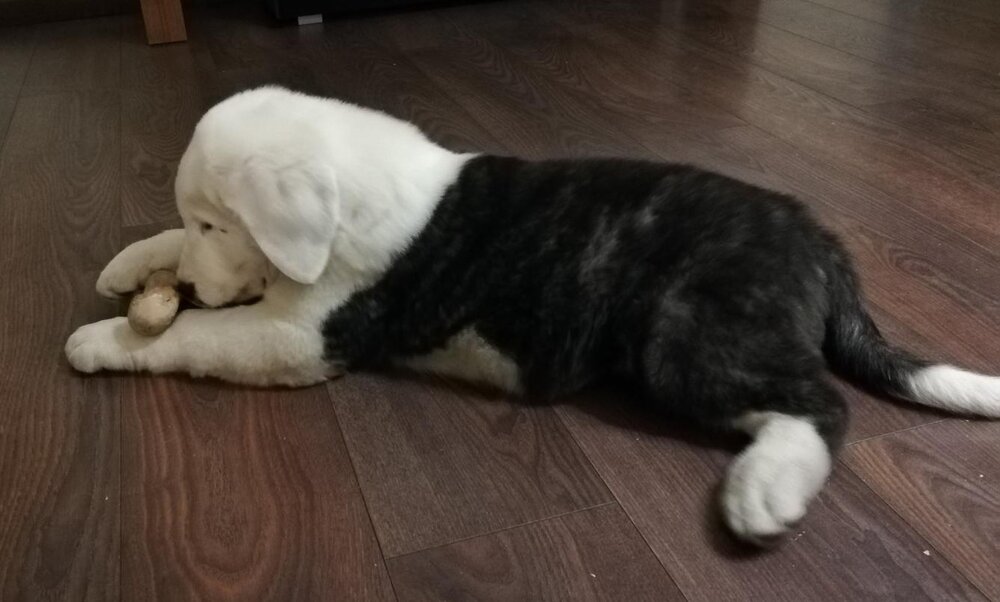 IMG_20190123_172302 (2).jpg