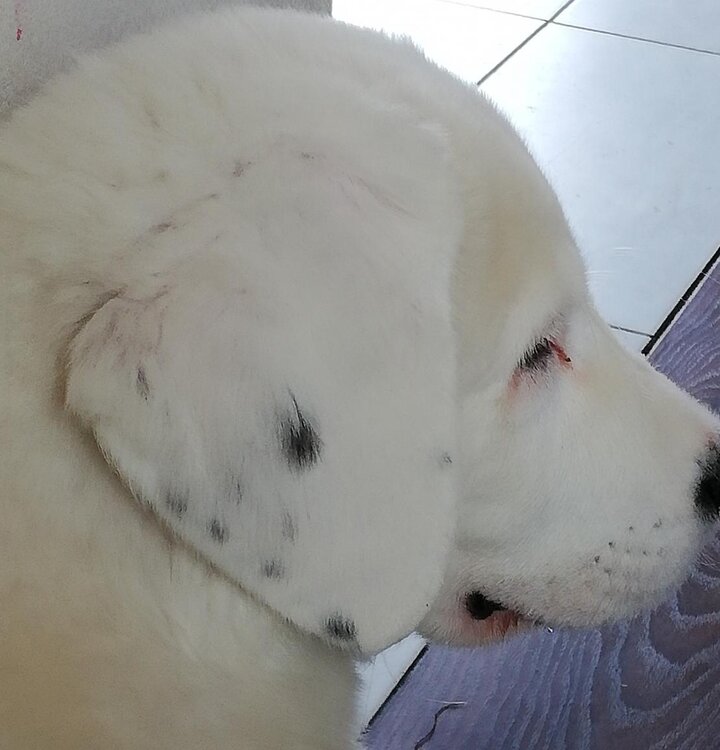 IMG_20190210_102011 (2).jpg