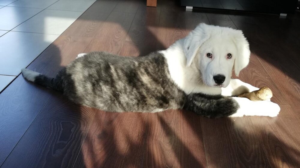 IMG_20190210_125526 (2).jpg