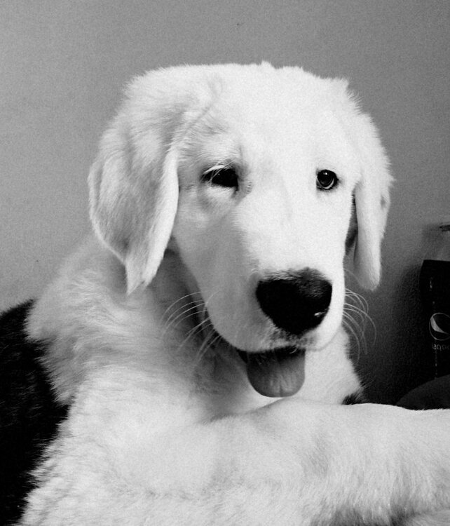 IMG_20190214_155128 (2).jpg