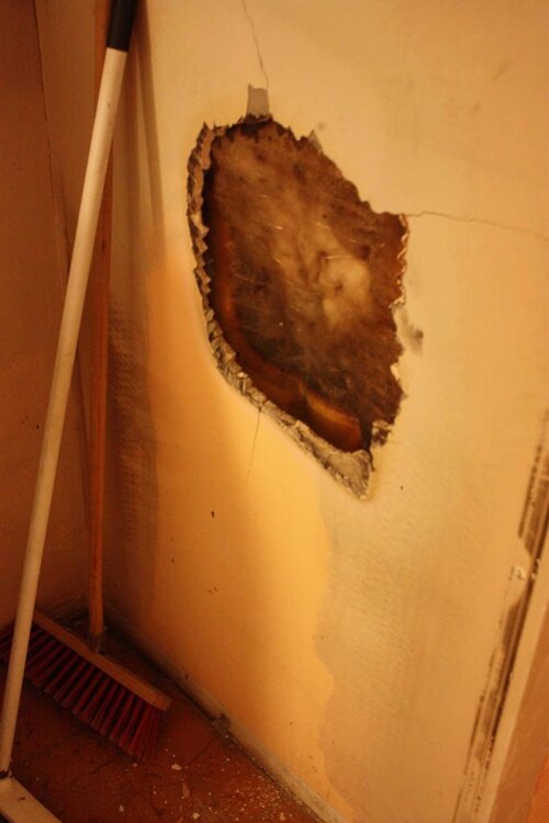 IMG_7499 - Kopia.jpg