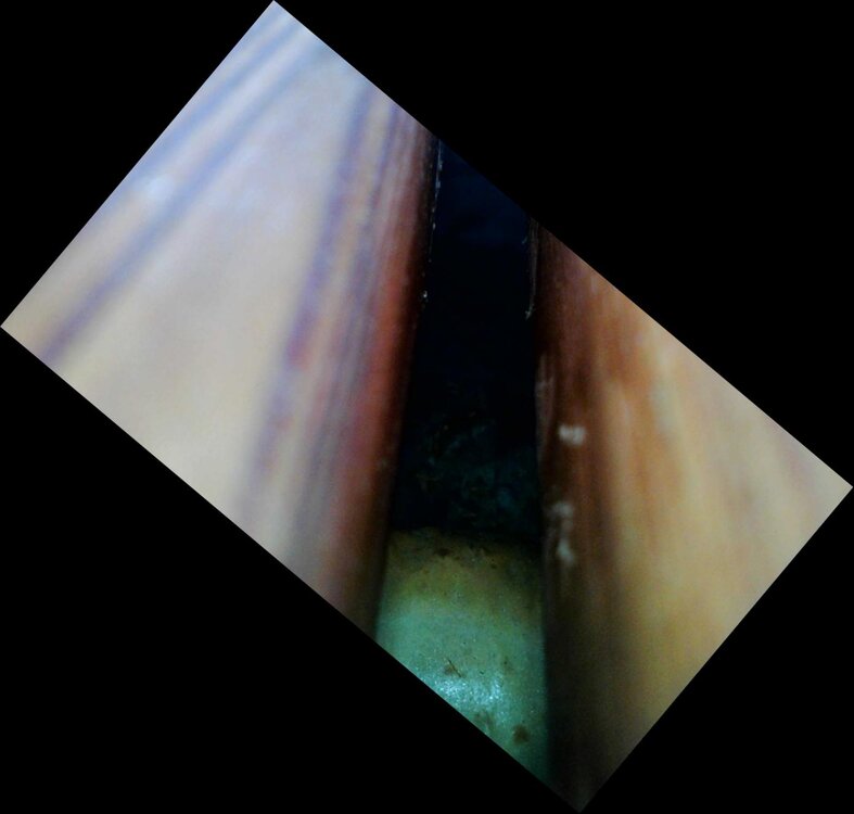 Image_2021-09-11 12_32_11_083_2.jpg