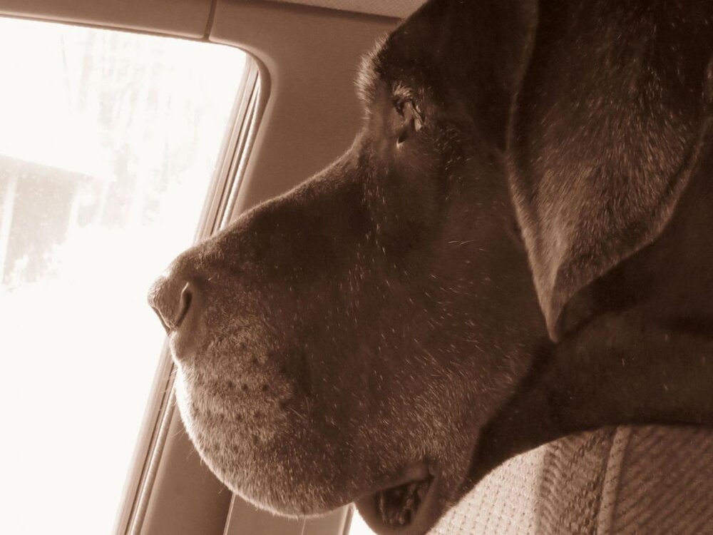 Nostalgiczny Gruś.jpg