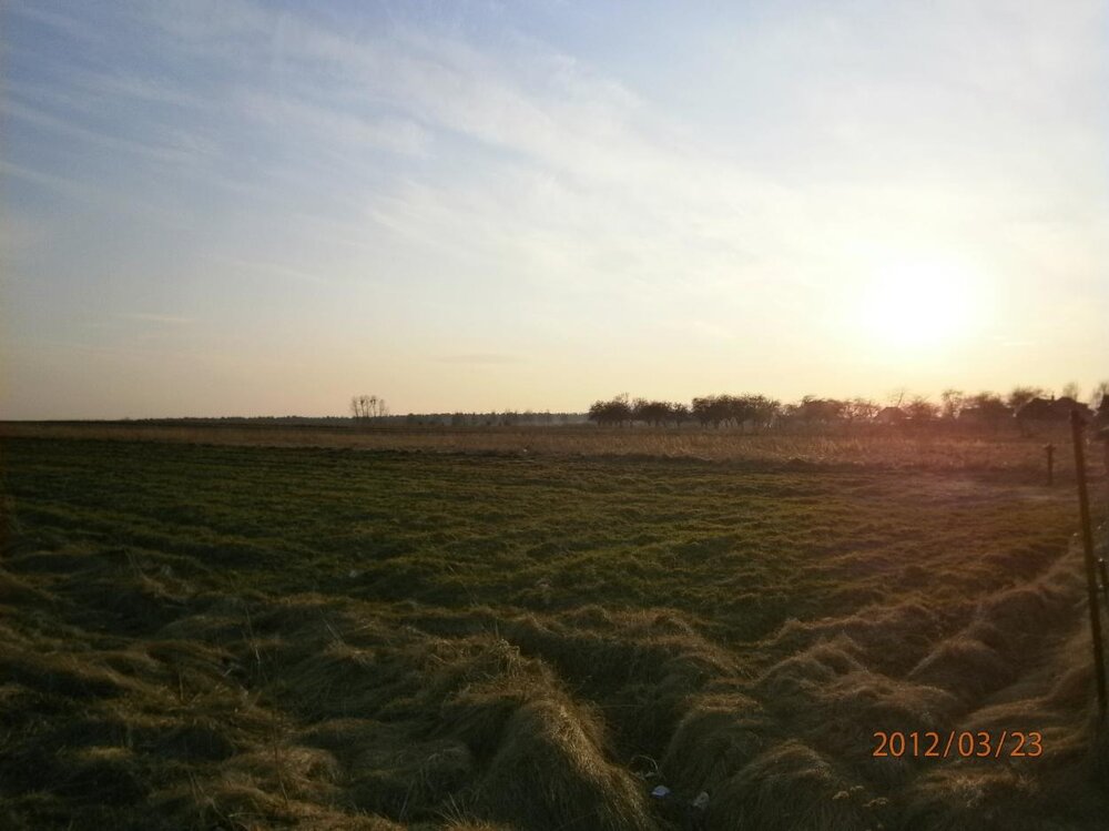 Obraz 004 Resized.jpg