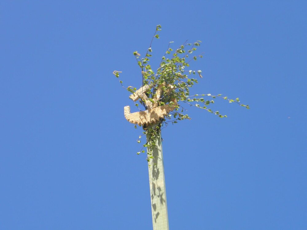 P5040407 [MiniFoto].jpg