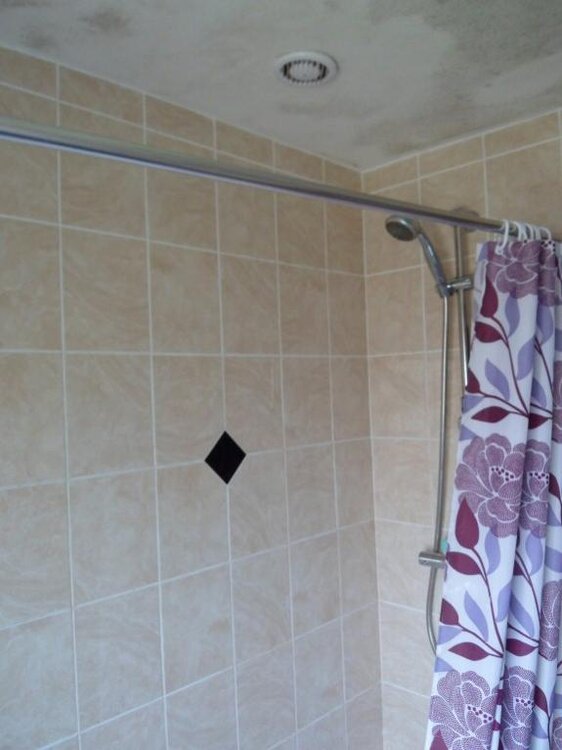 SAM_0931 (Medium).jpg