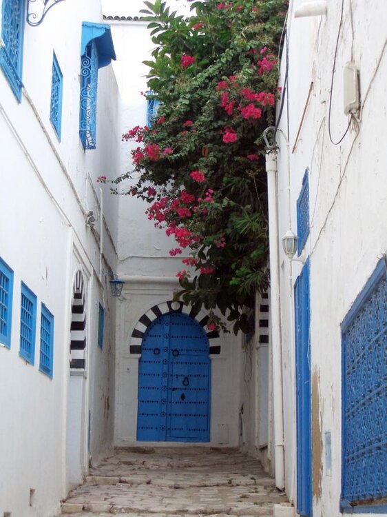 TUNIS-Sidi_Bou_Said-01.jpg