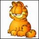 garfield1988gse