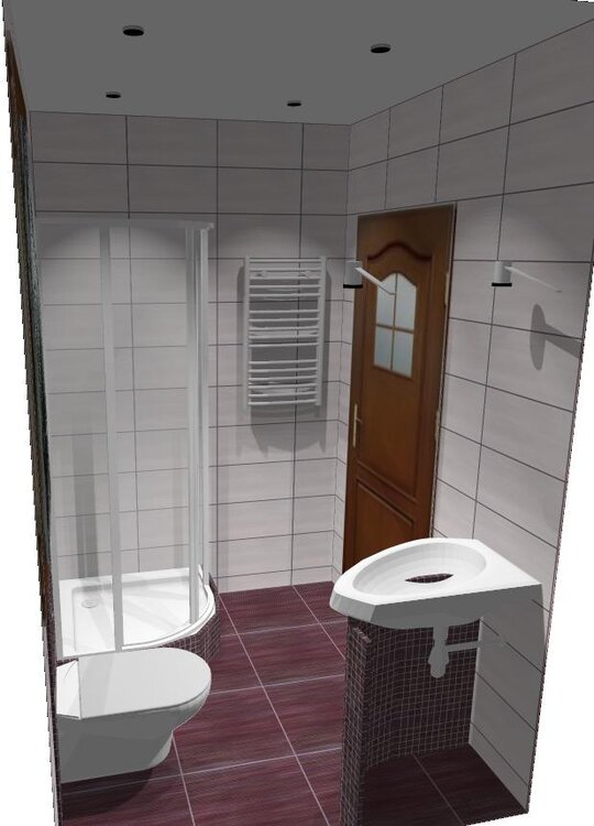 łazienka ren DW5.JPG