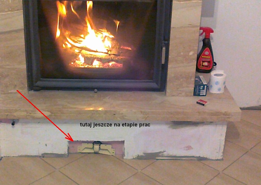 gniazdo przy kominku.JPG