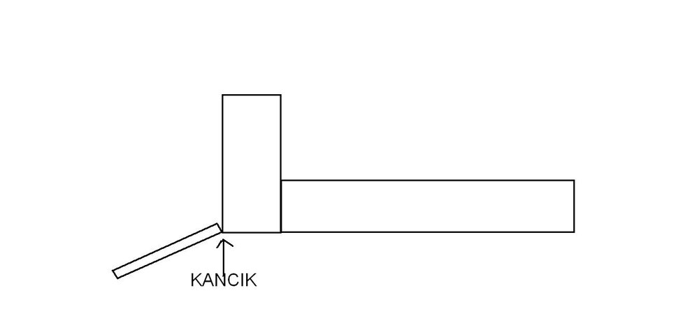 kancik.JPG