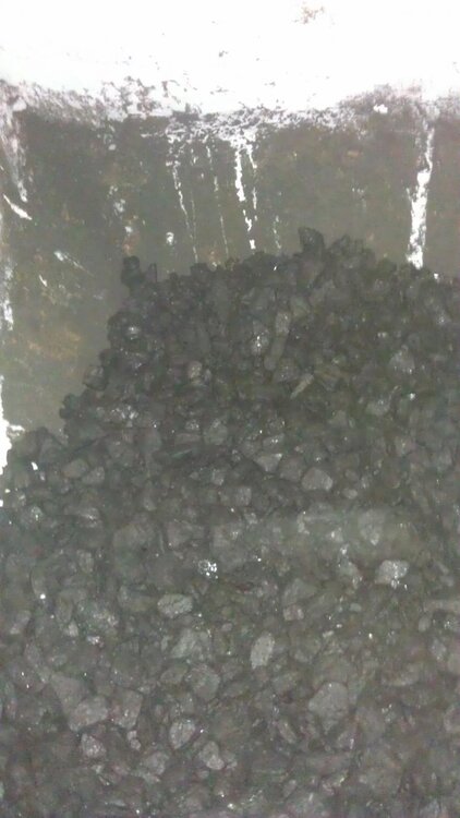 oryginalny Pieklorz 2012.jpg